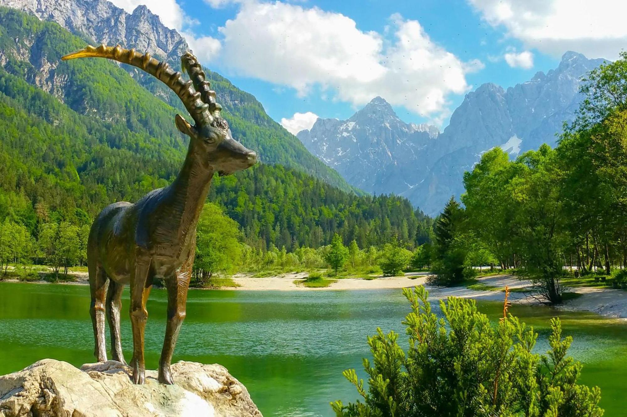 Alpine Retreat Gaja Kranjska Gora - Happy Rentals Ngoại thất bức ảnh