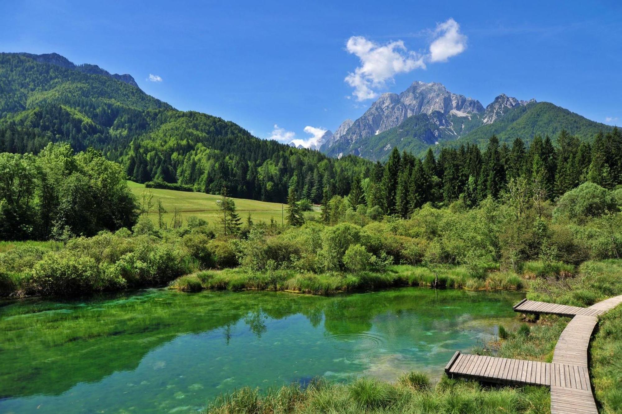 Alpine Retreat Gaja Kranjska Gora - Happy Rentals Ngoại thất bức ảnh