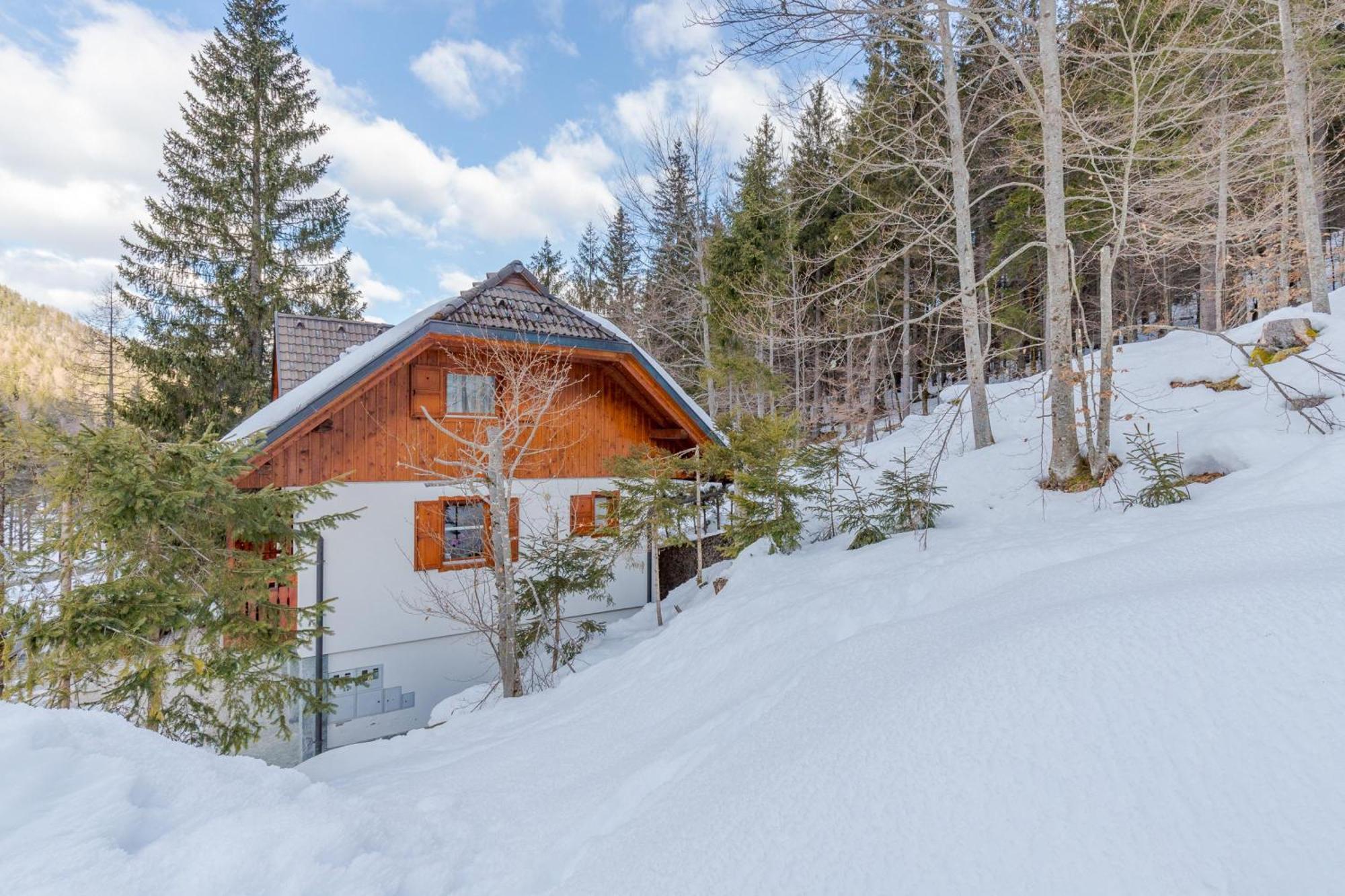 Alpine Retreat Gaja Kranjska Gora - Happy Rentals Ngoại thất bức ảnh